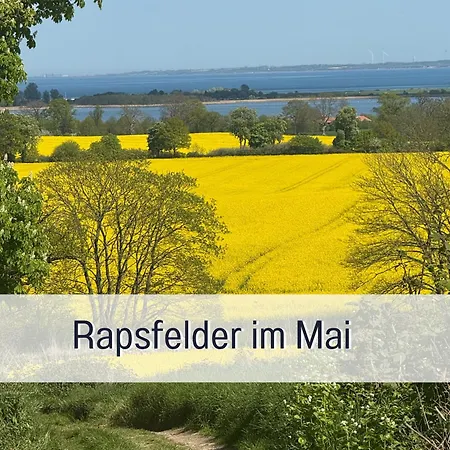 Moderne-kate-kiel Nabel *