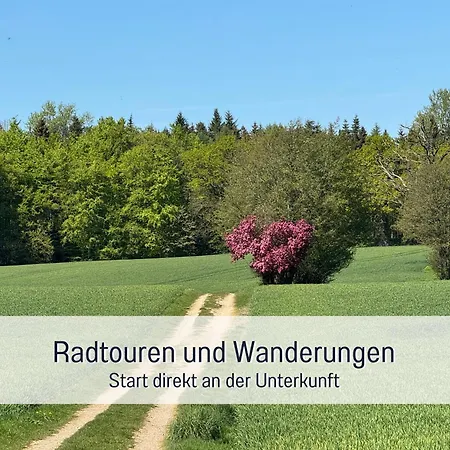 Moderne-kate-kiel Nabel *