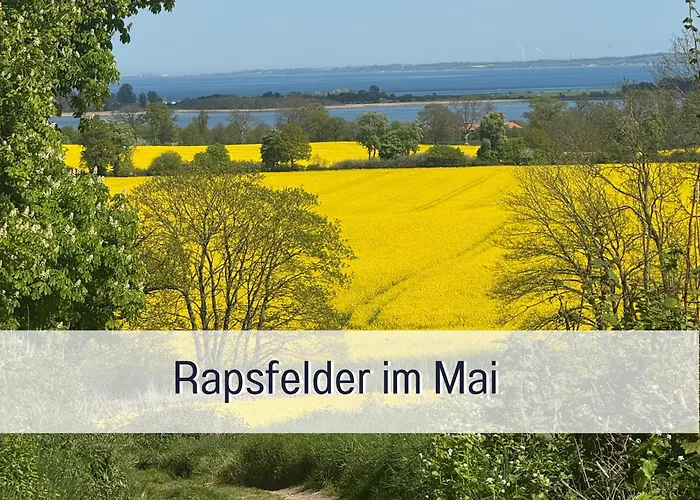 Moderne-kate-kiel Nabel *