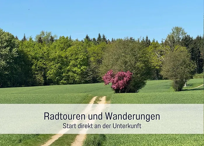 Moderne-kate-kiel Nabel *